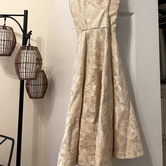 V neck lace dress - Picture 6 of 7